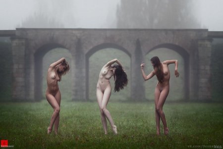 Художественное ню группа