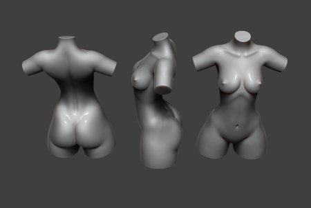 Анатомия женский торс хентай