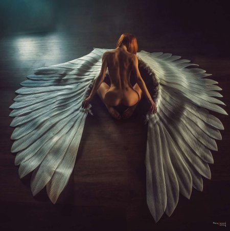 Голые девки с крыльями