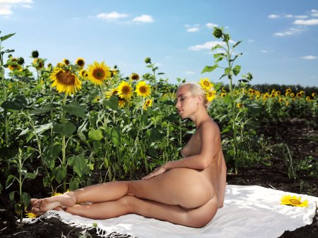 Голая женщина в подсолнухах