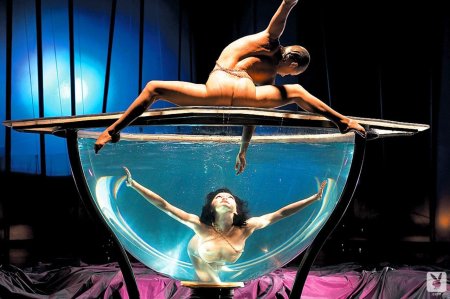 Голый цирк дю солей Zumanity