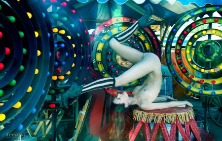 Девушка разделась в цирке