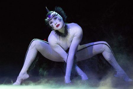 Цирк дю солей шоу ovo