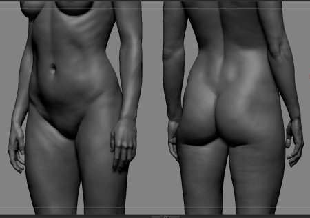 3d ню male female Anatomy анатомия