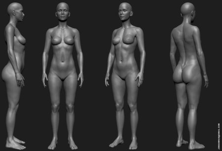 Анатомия женской Наготы