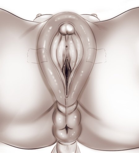 Анатомия женской вагины