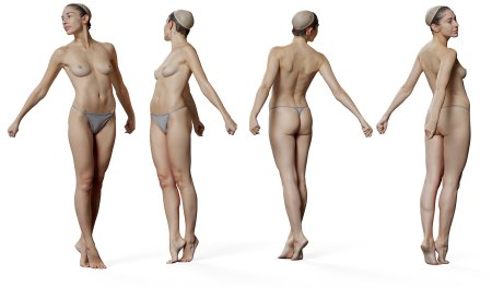 Female Anatomy