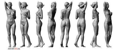 Голое женское тело референс