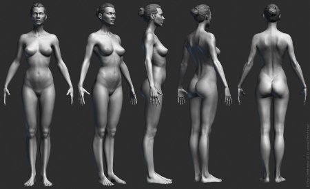 Референс тело девушки ню