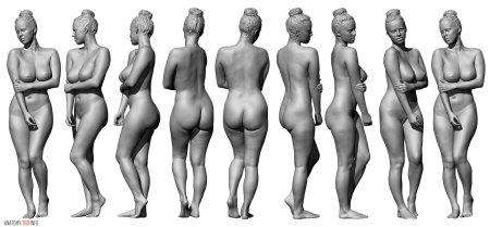 Голое женское тело референс