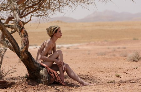 Кактус в пустыне голый