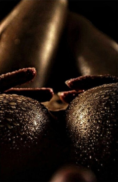 Шоколадные девушки эро