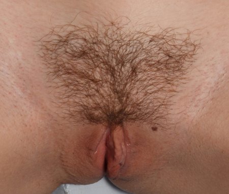 Женские прически на лобке