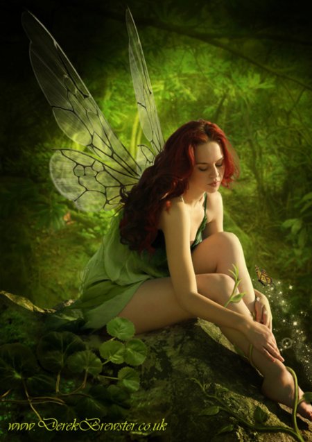 Нимфа Лотис