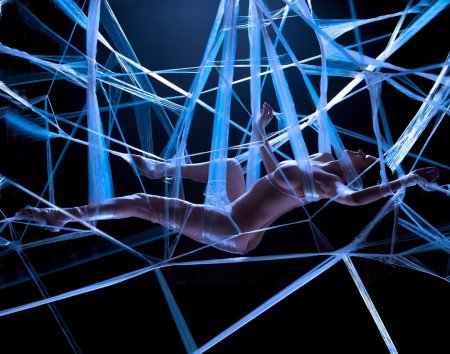 Девушка в паутине