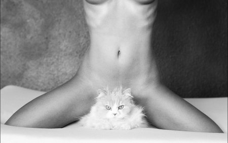 Эротическая фотосессия с кошками