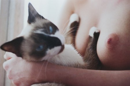 Эротическая девушка кошка