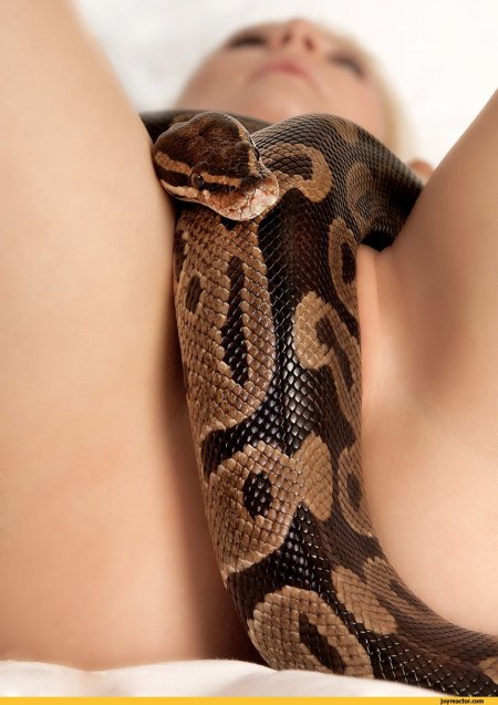 Эротические девушки с змеями