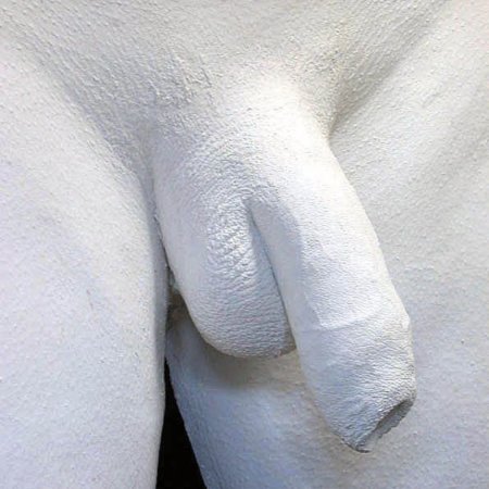 Woman who collected Plaster dicks