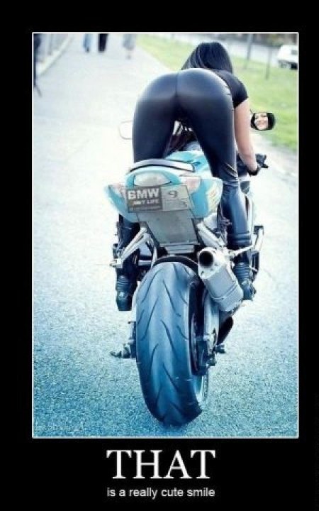 Попка на мотоцикле