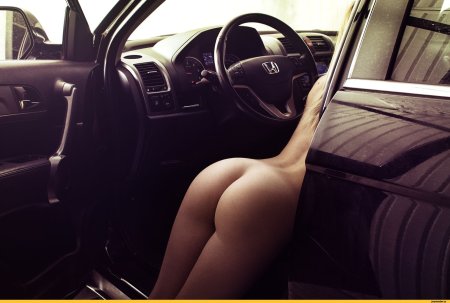 Женские попки в машине частное