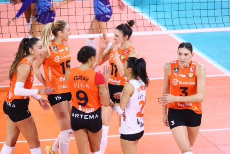 Türkiye voleybol federasyonu