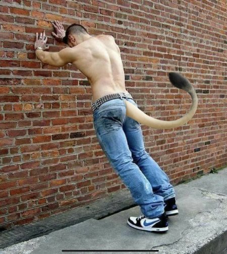 Парни со спущенными штанами