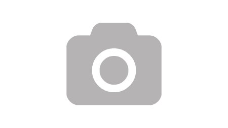 Лилейник гибридный ЭГГ Йоук