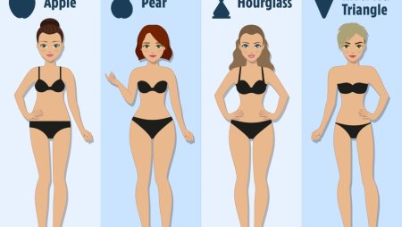 Типы женской фигуры в картинках