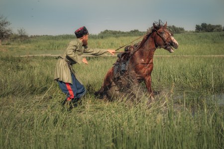 Донской казак фото