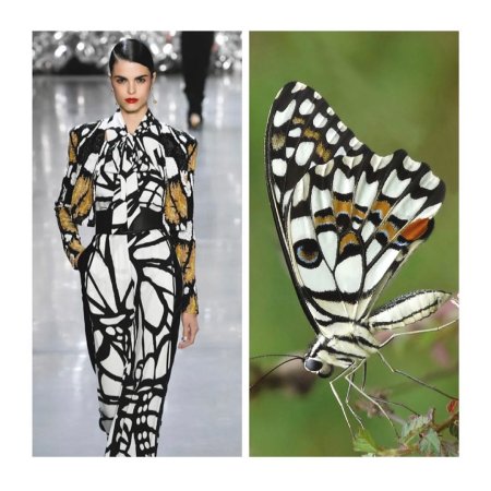 Вдохновение для дизайнера