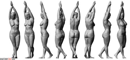 Голая полная женщина референс