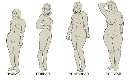 Типы женских фигур голые