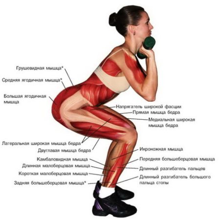 Упражнения на ягодичные мышцы