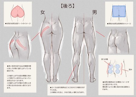 Ягодичная складка