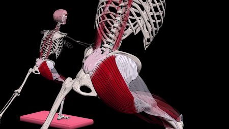 Мускулюс Глютеус