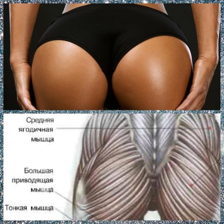 Разные ягодицы