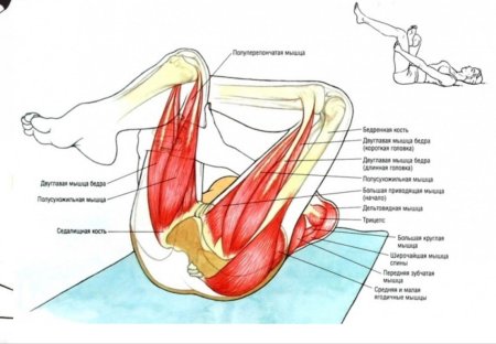 Растяжка четырехглавой мышцы бедра