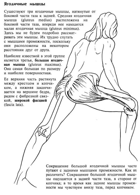 Растяжка средней ягодичной мышцы