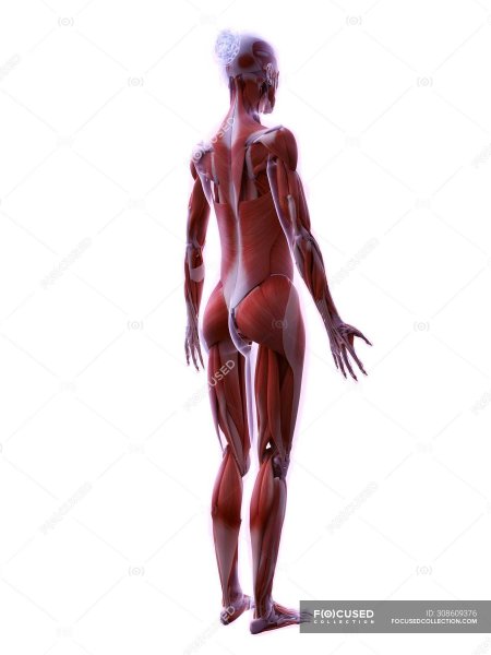 Стилизованная кожа рендер