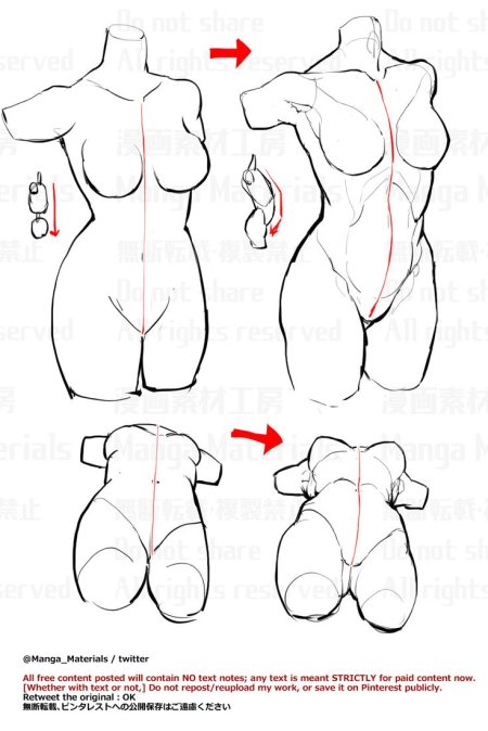 Тело женщины рисунок