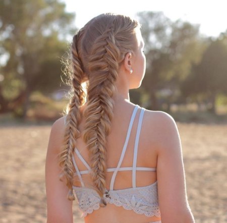 Колосок рыбий хвост