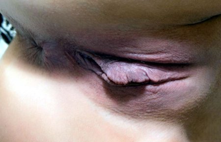 Голые женщины крупным планом