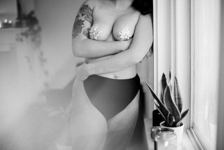 Sansevieria trifasciata