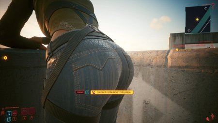 Панам Палмер