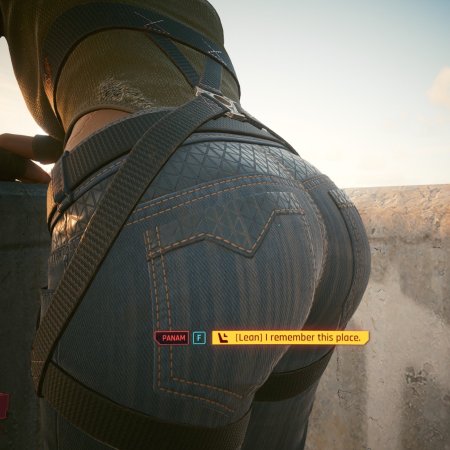 Киберпанк 2077 панам Палмер 18