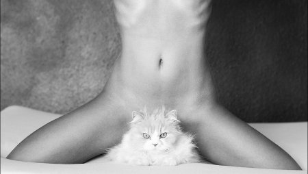 Красивые киски девчонок