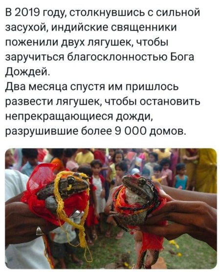 Индийская свадьба лягушек