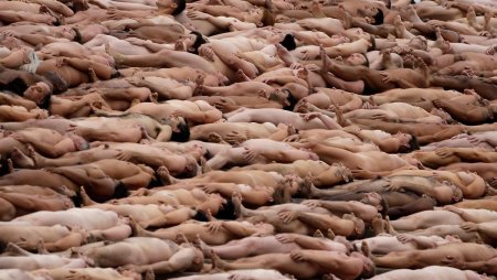 Массовое обнажение спенсер туник