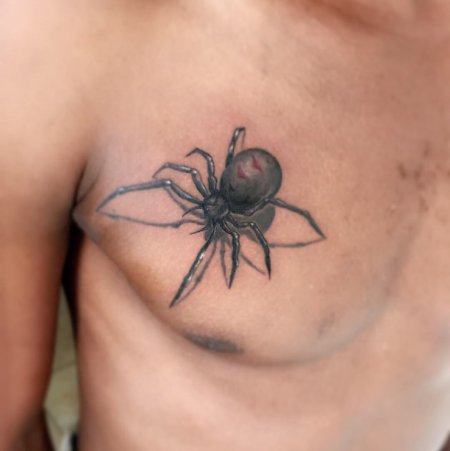 Тату паук